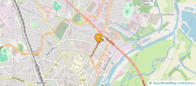 localisation de l'entreprise VOGUE PROTHESE  ROANNE