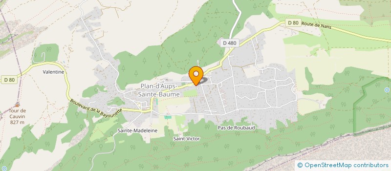 localisation de l'entreprise VOITRIN à PLAN-D'AUPS-SAINTE-BAUME