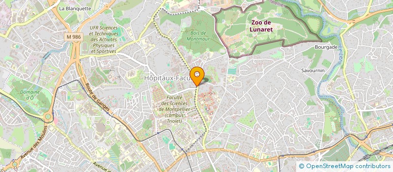 localisation de l'entreprise VOIX DES ADHERENTS DES GROUPES D'ENTRAIDE MUTUELLE DU LANGUEDOC ROUSSILLON à MONTPELLIER