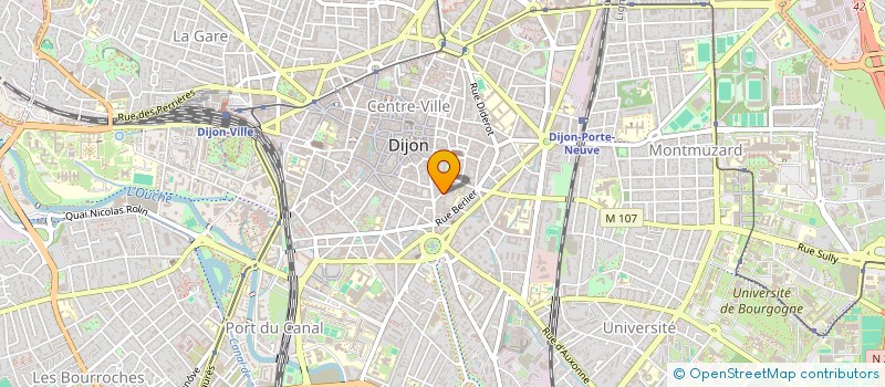 localisation de l'entreprise VOLONTARIAT ECOLOGIQUE FRANCO ALLEMAND  DIJON