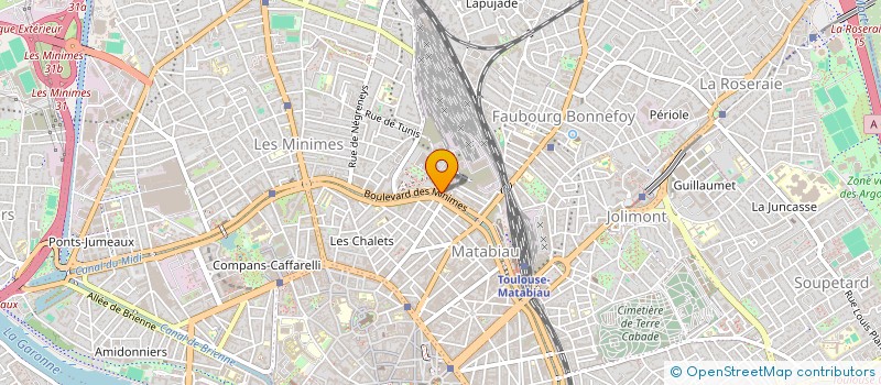 localisation de l'entreprise VOLONTARIAT ET SOUTIEN PAR L'ART  TOULOUSE