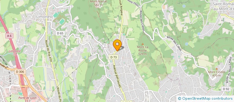 localisation de l'entreprise VOLONTARIAT ET SOUTIEN PAR L'ART VSART LYON  SAINT-DIDIER-AU-MONT-D'OR