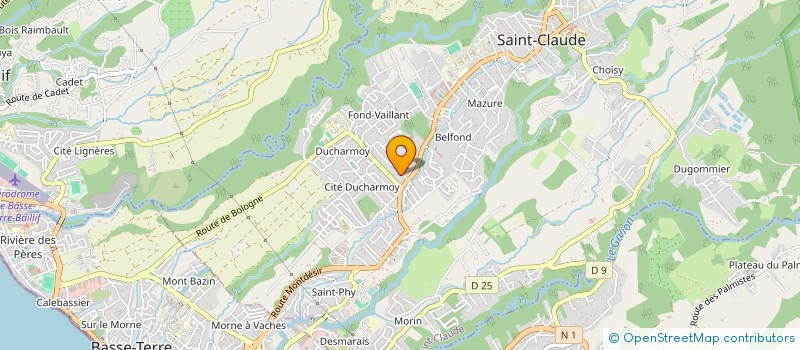 localisation de l'entreprise VOLTAIRE IMMOBILIER & DECORATION à SAINT-CLAUDE