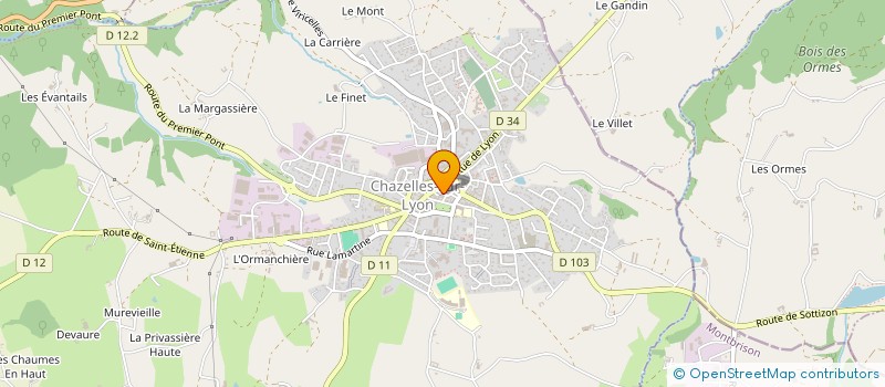 localisation de l'entreprise VOTRE FLEURISTE à CHAZELLES SUR LYON