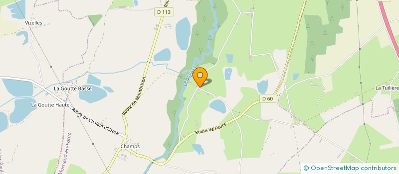 localisation de l'entreprise VOUS SAVEZ QUOI  MORNAND-EN-FOREZ