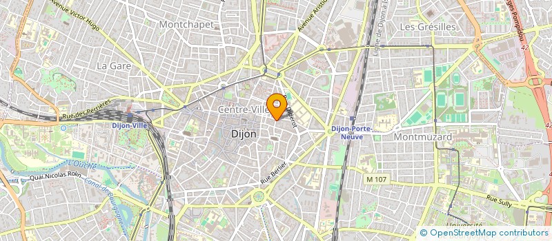 localisation de l'entreprise VOYAGE AUTOUR DES MOTS à DIJON
