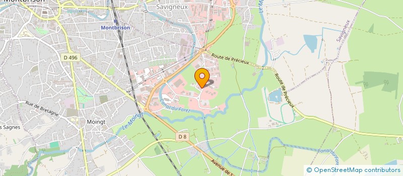 localisation de l'entreprise VP SERVICES  MONTBRISON