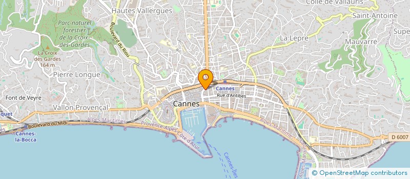 localisation de l'entreprise VREI à CANNES