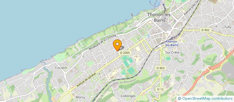 localisation de l'entreprise VRT SERVICES à THONON-LES-BAINS