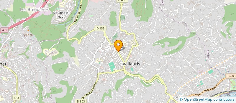 localisation de l'entreprise VTC FRED  VALLAURIS