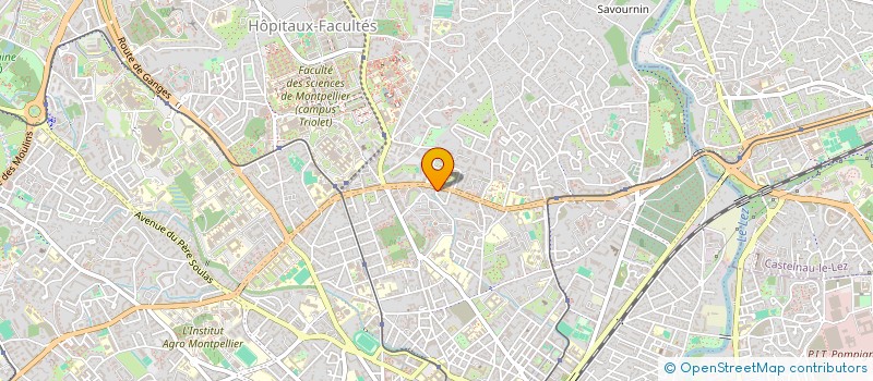 localisation de l'entreprise VTHN PHARMA HOLDING  MONTPELLIER