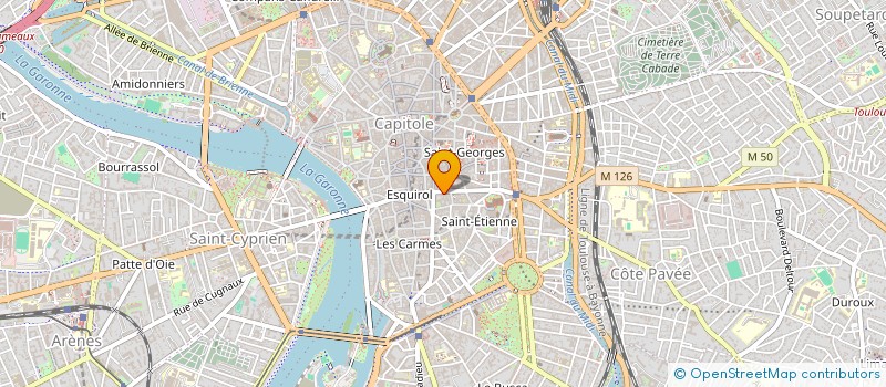 localisation de l'entreprise VU PRINTEMPS BLEU à TOULOUSE