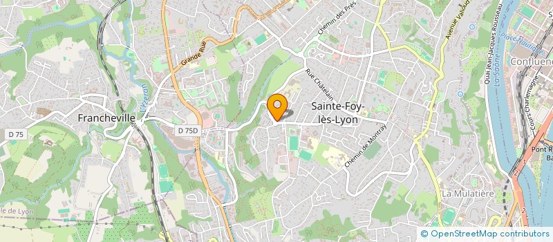 localisation de l'entreprise VUE D'ESPRIT à SAINTE-FOY-LES-LYON