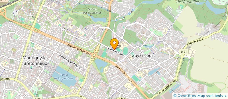 localisation de l'entreprise VUONG INVESTISSEMENTS  GUYANCOURT