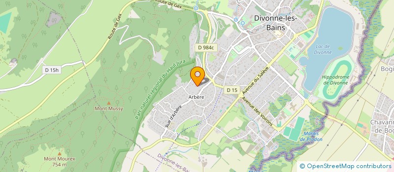 localisation de l'entreprise VYJJ  DIVONNE-LES-BAINS