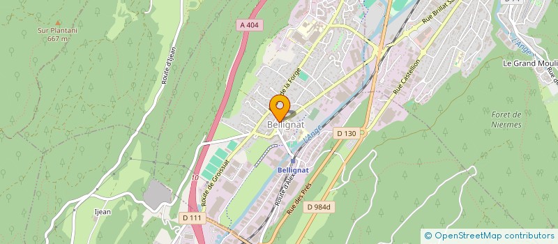 localisation de l'entreprise W.G INVEST  BELLIGNAT