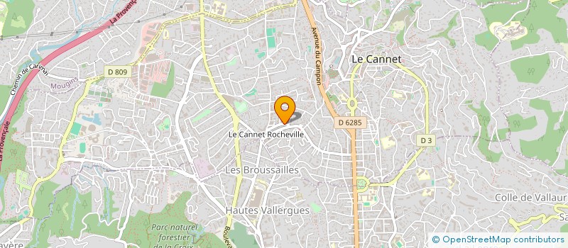 localisation de l'entreprise W.S. PRESSING à LE CANNET
