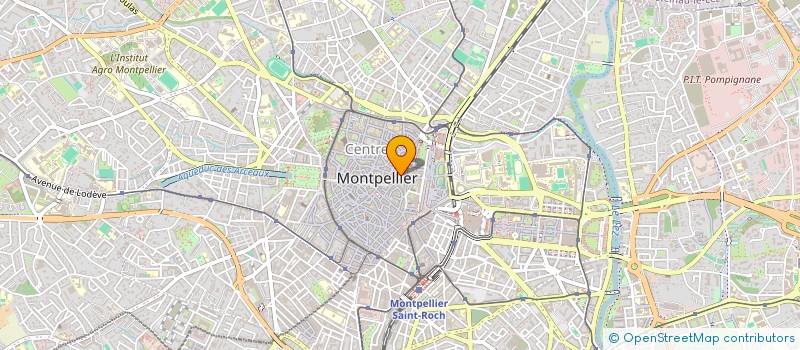 localisation de l'entreprise WADADA ET TOUT LE TRALALA à MONTPELLIER