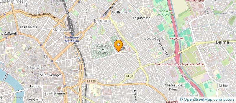 localisation de l'entreprise WALI DANS LE MONDE à TOULOUSE