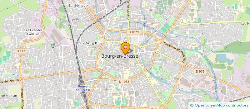 localisation de l'entreprise WALKING SHOES BOURG à BOURG-EN-BRESSE