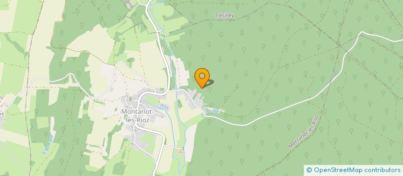 localisation de l'entreprise WALL INVEST  MONTARLOT-LES-RIOZ