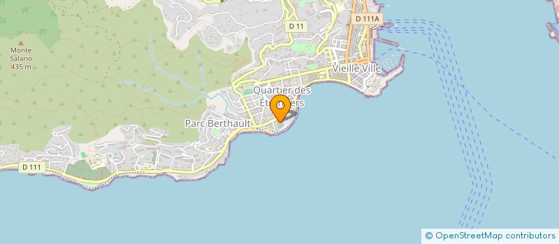 localisation de l'entreprise WALLVISION  AJACCIO