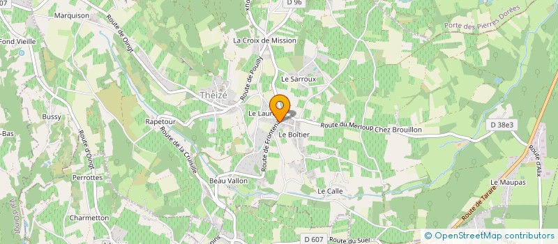 localisation de l'entreprise WAM IMMO  THEIZE