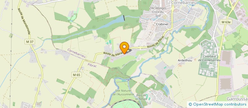 localisation de l'entreprise WANNES à CORNEBARRIEU