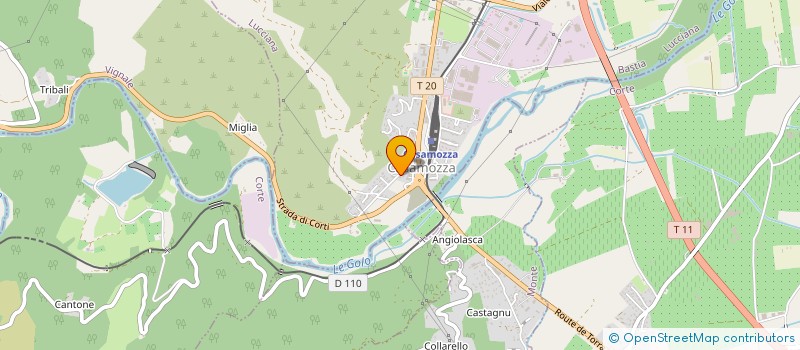 localisation de l'entreprise WAT 20 à BORGO