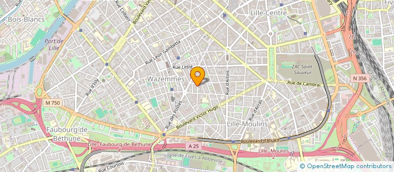 localisation de l'entreprise WAT-AND-WONG à LILLE