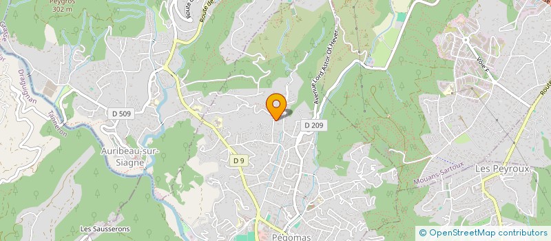 localisation de l'entreprise WAVE MANAGEMENT  PEGOMAS