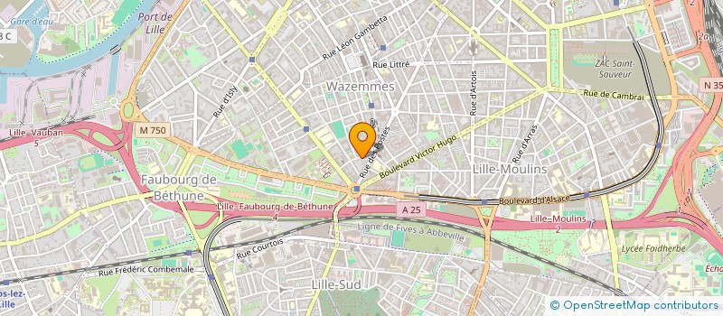 localisation de l'entreprise WAZEMMES LE JARDIN à LILLE
