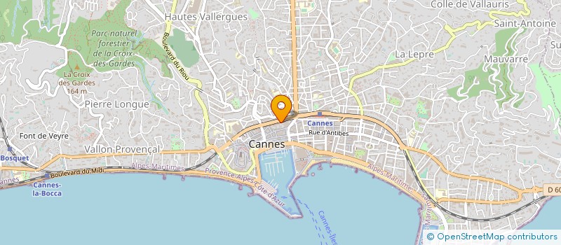localisation de l'entreprise WEBSTARDESIGN  CANNES