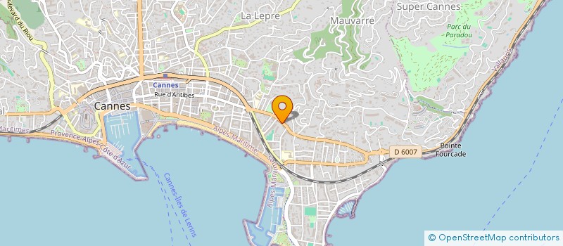 localisation de l'entreprise WEDGEWODD ESTATES à CANNES