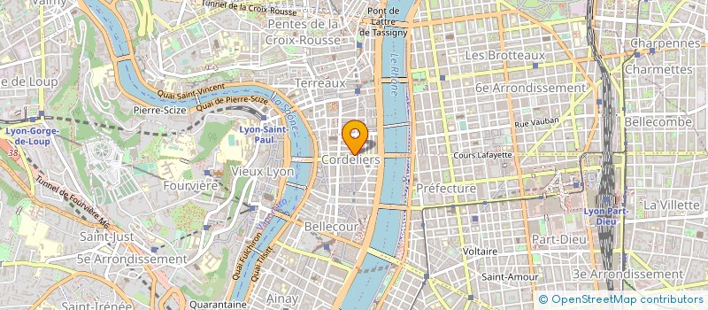 localisation de l'entreprise WEGELIN FRERES à LYON
