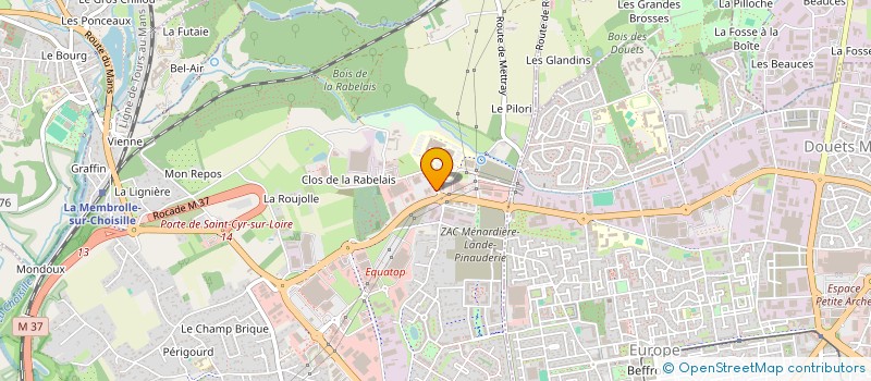 localisation de l'entreprise WELLNESS STC  SAINT-CYR-SUR-LOIRE