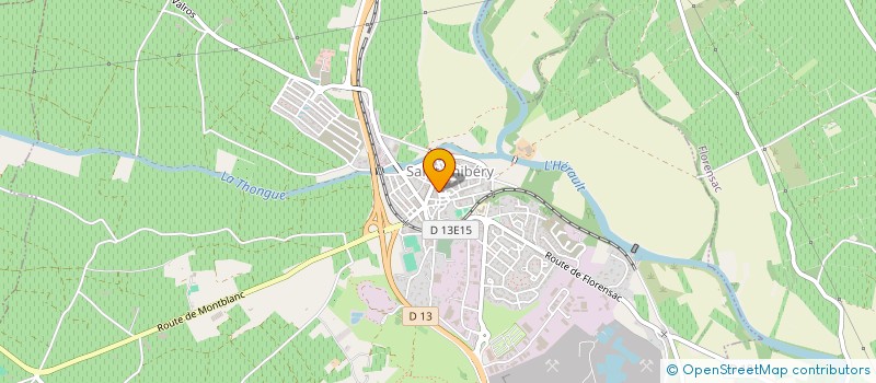 localisation de l'entreprise WIBAUX CONSEIL  SAINT-THIBERY