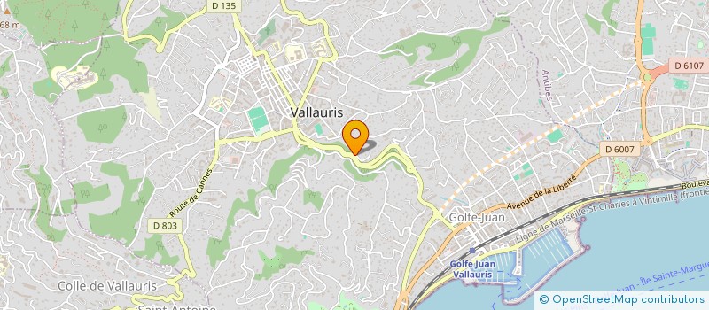 localisation de l'entreprise WIDIAG à VALLAURIS