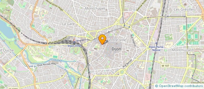 localisation de l'entreprise WILBER  DIJON