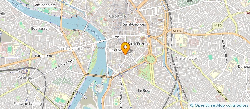 localisation de l'entreprise WILD DANDIES à TOULOUSE