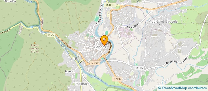 localisation de l'entreprise WILD FLY FISHING  GANGES