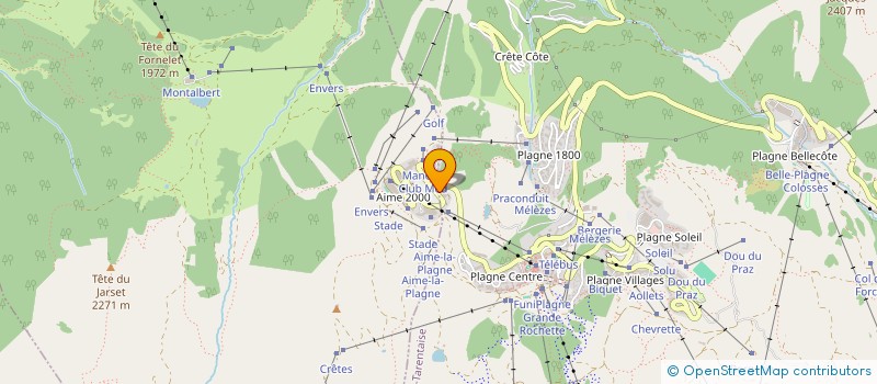 localisation de l'entreprise WILDERNESS ACTIVITY  PEISEY-NANCROIX