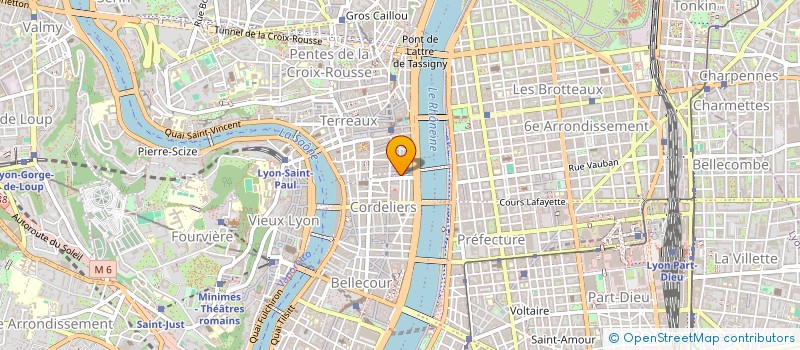 localisation de l'entreprise WILL  LYON