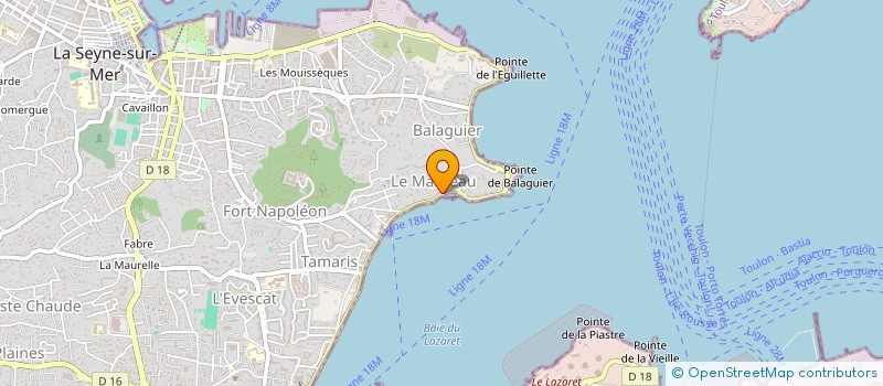 localisation de l'entreprise WILLIAMS TRANSPORT VTC  LA SEYNE-SUR-MER