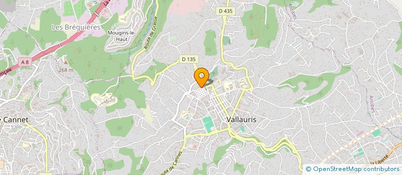 localisation de l'entreprise WIRELESS AND WEB à VALLAURIS