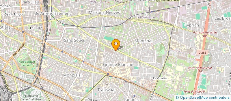 localisation de l'entreprise WIRELESS TALENTS  LYON