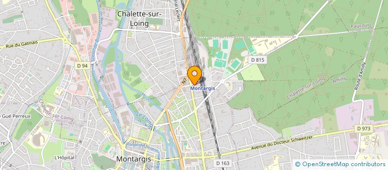 localisation de l'entreprise WISE & BOLD à MONTARGIS