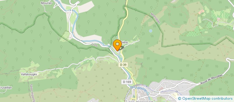 localisation de l'entreprise WISE VALUE  SAINT-HIPPOLYTE-DU-FORT