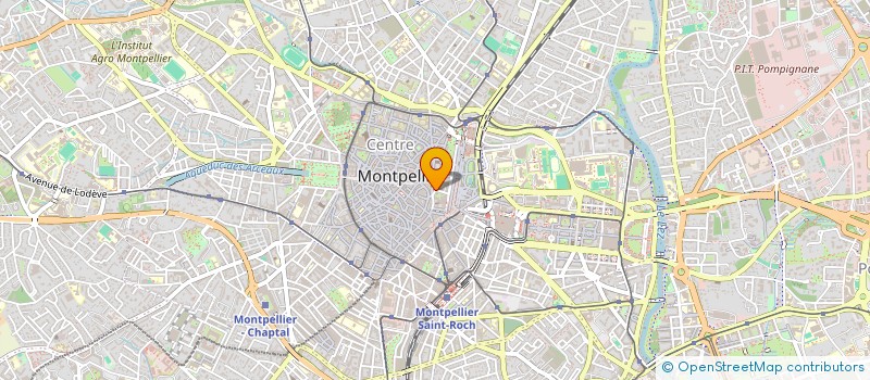 localisation de l'entreprise WITH LOVE IN SUNNY SOUTH  MONTPELLIER