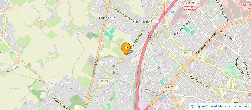 localisation de l'entreprise WITSANDS à RONCQ